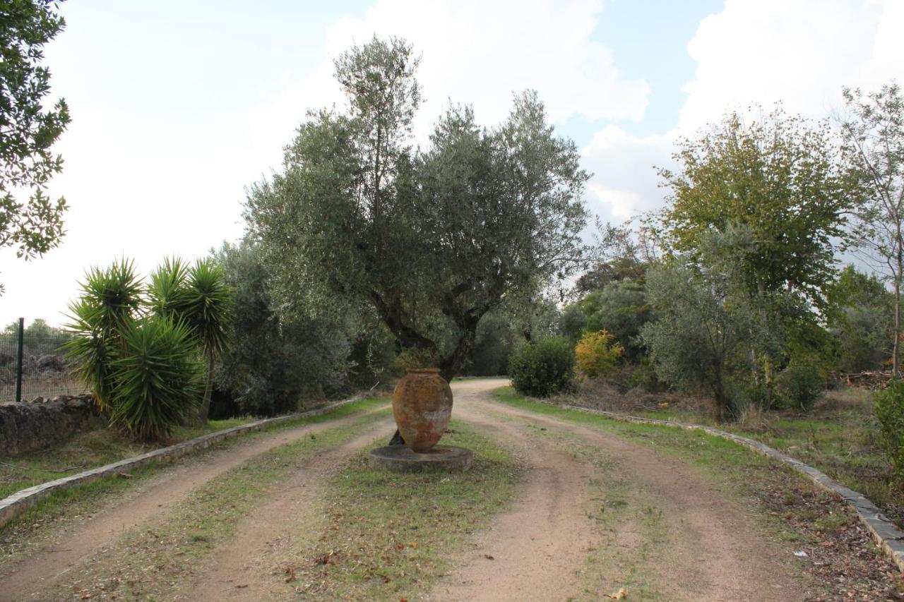 Quinta Do Cacador Guest house Estremoz